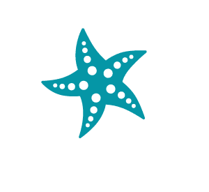 Seabreeze Medical PA | Logo